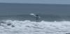 Great White Shark breaches just feet behind boogie boarder off Newport beach