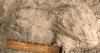 1.4 Million-Year-Old Footprints Reveal Surprising New Clues About Ancient Human Ancestor