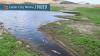 Flash flood runoff kills 2,500 trout at Minersville Reservoir, wildlife officials estimate