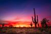 Washington-based homebuilder Azori expands into Arizona