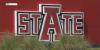 A-State faculty helping military veterans through concussion screening tool
