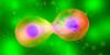 Scientists Discovered ‘Zombies’ With ‘Immortal’ Body Parts.  This Could Redefine What We Think Life Is.