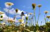 Look-ahead forecast: It’s another outdoor weather weekend