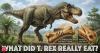 In 2010, researchers asked, 'what did Tyrannosaurus rex eat?' The answer included other T. rexes