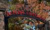 Rutgers Launches First US Study On Alzheimer’s Risk In South Asian Americans
