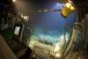 No Mining Code, No Rules: NOAA Dives the Data Gap in Cook Islands Waters