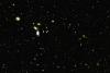 Swiss Lab Rules Out Mirror Universe Dark Matter in Largest Neutron Search