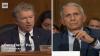 What Fauci's Diary Probably Says, According To A Rand Paul Superfan