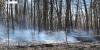 Orange moon expected in Northeast Arkansas as distant wildfire smoke drifts overhead