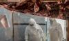 Ebola Outbreak is Worsening Food Insecurity in Eastern Congo