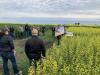 Greenhouse Gas Research helps farmers separate effective products from marketing hype