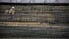 Construction jobs rise in fewer than half of US metros