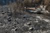 Climate-fueled wildfires in Europe push emergency response to the limit