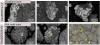 Hydrothermal microbes shape seafloor minerals at newly found vents near Greek island