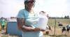 Montana producers tout raw milk amid regional spoilage of pasteurized milk
