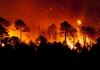 Global Wildfire Crisis Demands Indigenous Wisdom and Policy Reform