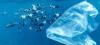 Stress on our marine system and nature, and building continues without concrete management and planning