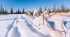 I'm a full-time travel editor and this 'James Bond' moment in Alaska blew my mind