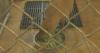 New South American-themed exhibit coming to Lake Superior Zoo