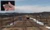 Mystery deepens at Utah paranormal hotspot as buried 'UFO' clues emerge