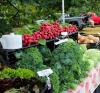 How do you define local food? URI researchers surveying Rhode Islanders on local food supply and demand