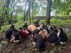 20 Myanmar nationals arrested for illegal entry into Thailand in...