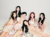 Momoland cancels 10th anniversary Philippine fan concert