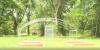 Monroe councilman allocates $6,000 to youth gardening initiative
