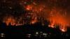 Canada’s Wildfire Crisis Renews Calls For National Emergency Agency