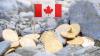 ClearBridge Canadian Small Cap Strategy Q2 2026 Commentary