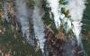 World : New Wildfires Break Out In Several Regions Of France