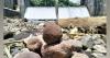 Kentucky’s Rough River Dam begins second phase of safety repair to address ongoing foundation risk