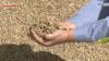 Japan govt. to invest $30 mil. in Namibia rare earth project
