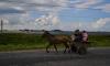 Cuba says three quarters of hotels shuttered