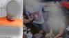 Man nabbed in Toledo City over gun threats, unlicensed firearm