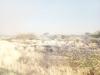 Dâures wildfires spark debate