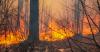 Greece and Turkey latest to be hit by wildfires after devastation in France and Spain