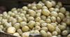 How Canada’s potato industry balances recovery risk and resilience