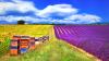 France reauthorizes two bee-poisoning pesticides, and beekeepers erupt in fury