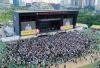 Massive Attack, Pixies, 60 other acts head to Korea for Pentaport Rock Festival