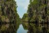 Georgia's Okefenokee Swamp joins UNESCO's World Heritage List, alongside the Grand Canyon