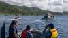 NZ joins search for missing health workers
