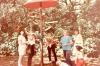 Wings, Scales & Wonder: Pinecrest’s Legacy of Living Attractions