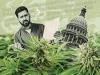 Where the Texas Hemp Market Currently Stands