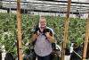 Opinion: Hemp’s future in pet care needs clarity, not confusion