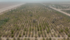 Abu Dhabi Housing Authority launches Housing Construction Loan on Subdivided Agricultural Land service