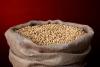 Commission Excludes Soybean Seeds from EUDR