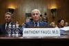 Fauci Hearing and Diary Leave More Questions Than Answers