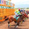 Industry ‘bigmen’ treat horse racing like rocket science
