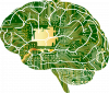 Who Will Govern Humanity’s New Cognitive Infrastructure?